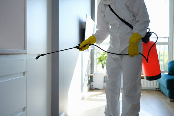 Best Crawl Space Mold Removal  in Renovo, PA