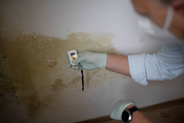 Best Mold Testing  in Renovo, PA