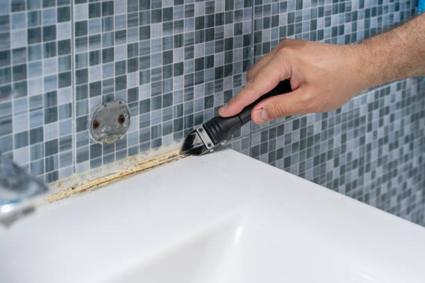 Mold Removal Process in Renovo, PA